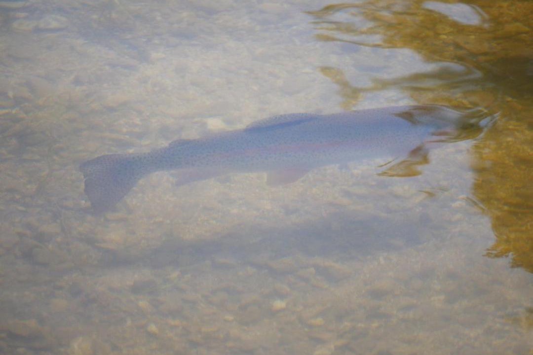 Photo of Others in Lacroix-sur-Meuse
