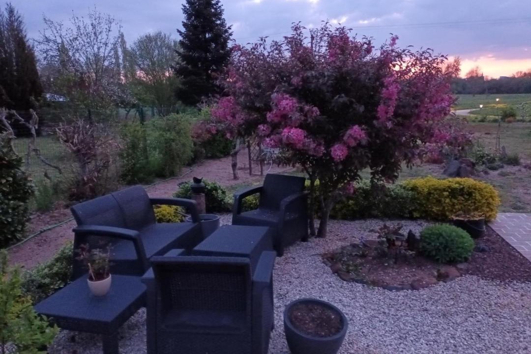 Photo of Others in Monce-en-Belin