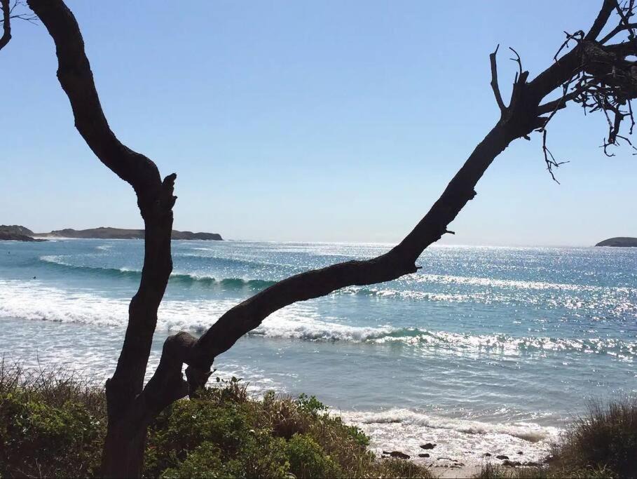 Photo of Others in Emerald Beach