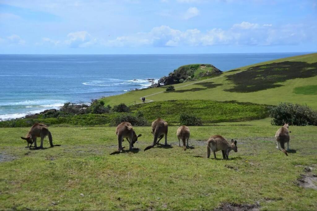 Photo of Others in Emerald Beach