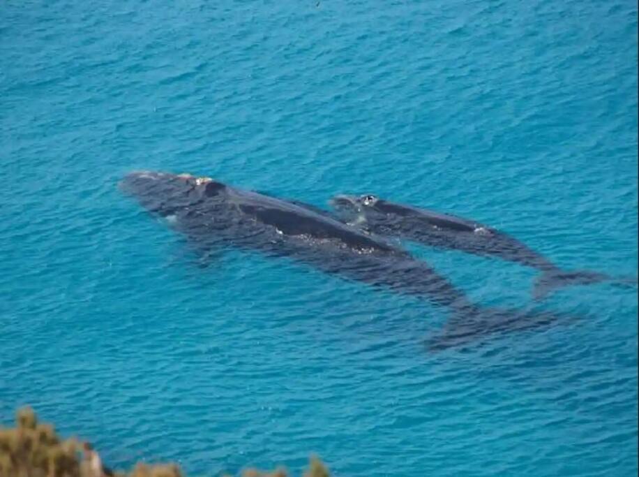 Photo of Others in Emerald Beach