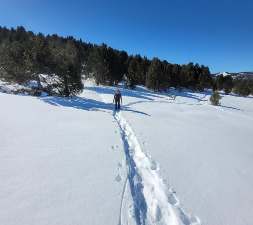Photo of Others in Clarac