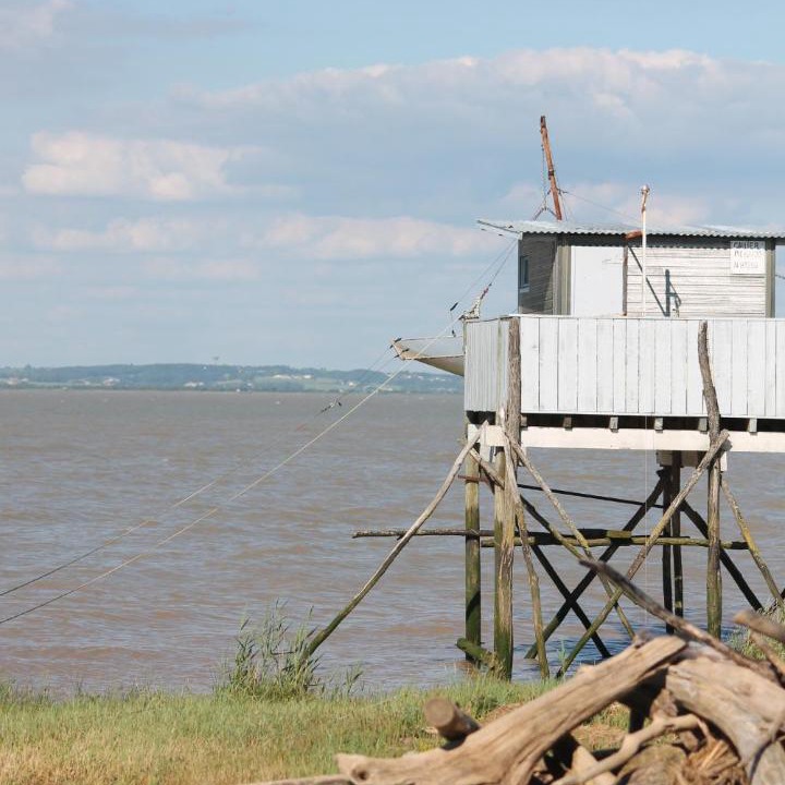 Photo of Others in Saint-Yzans-de-Medoc