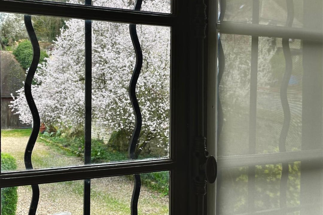 Photo of Others in Vernon