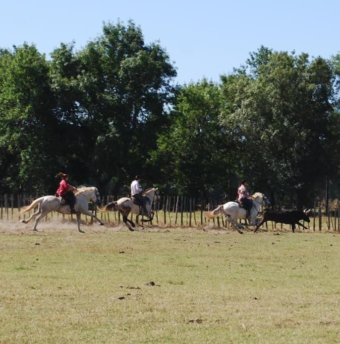 Photo of Others in Le Cailar