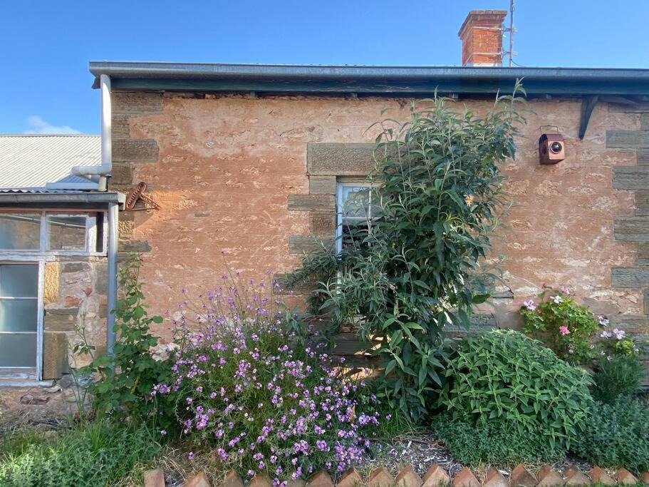 Photo of Others in Upper Wakefield