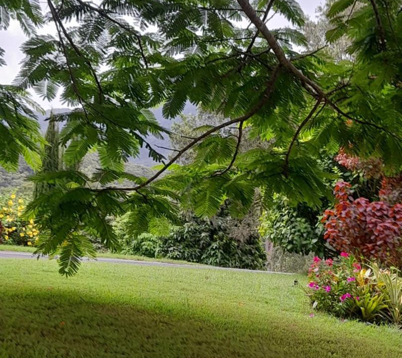 Photo of Others in Dum Dum