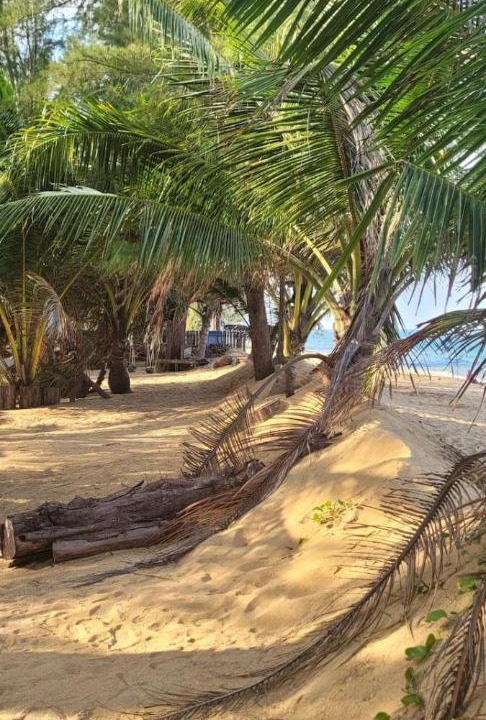 Photo of Others in Kampung Ru Muda