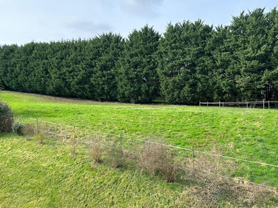 Photo of Others in Clecy