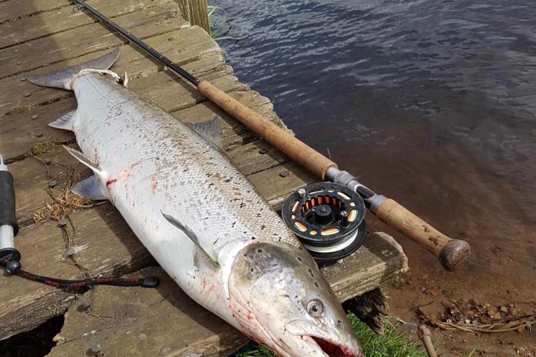 Photo of Others in Tarm