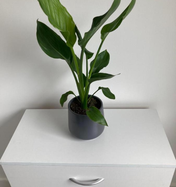 Photo of Others in Custom House