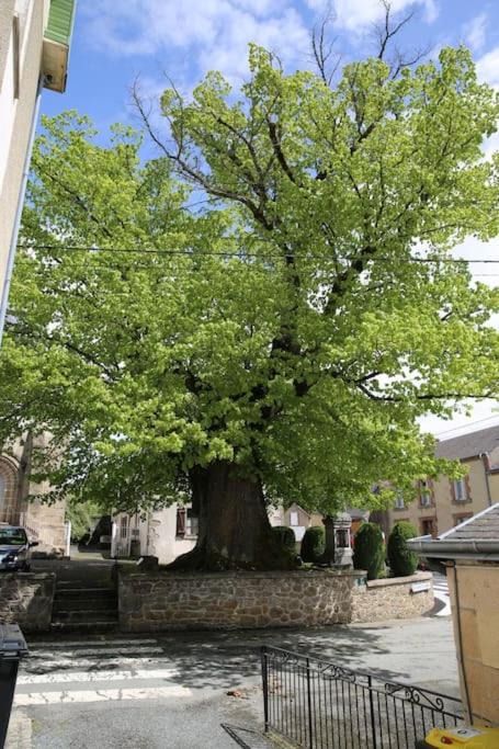 Photo of Others in Mortroux