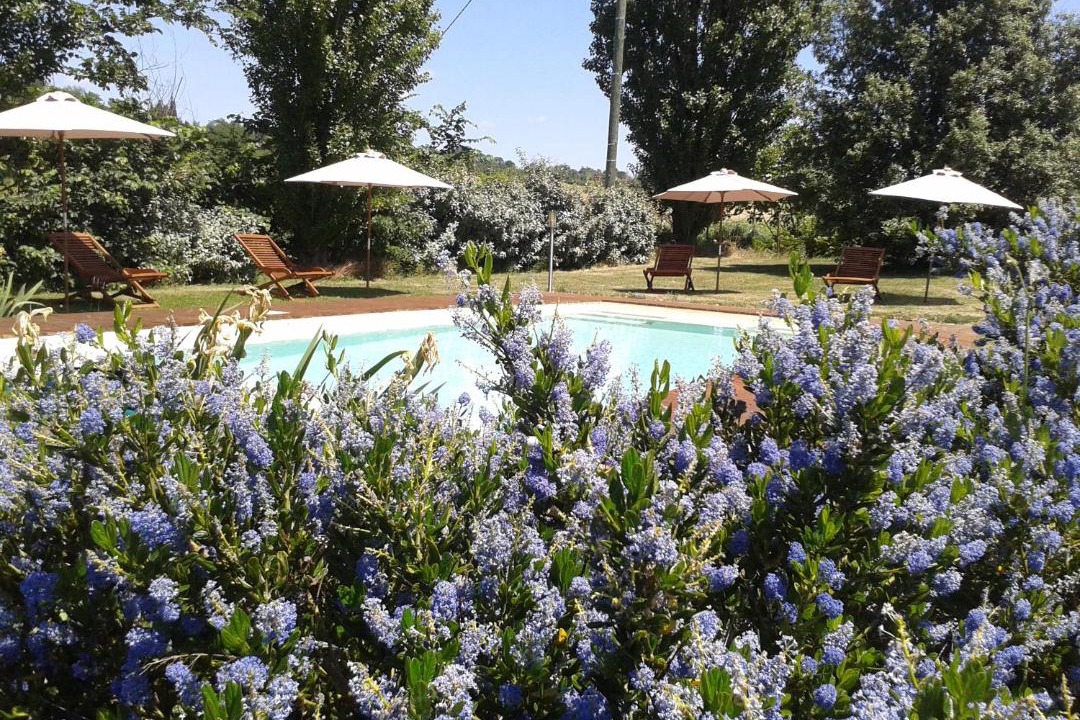 Photo of Others in Loubens-Lauragais