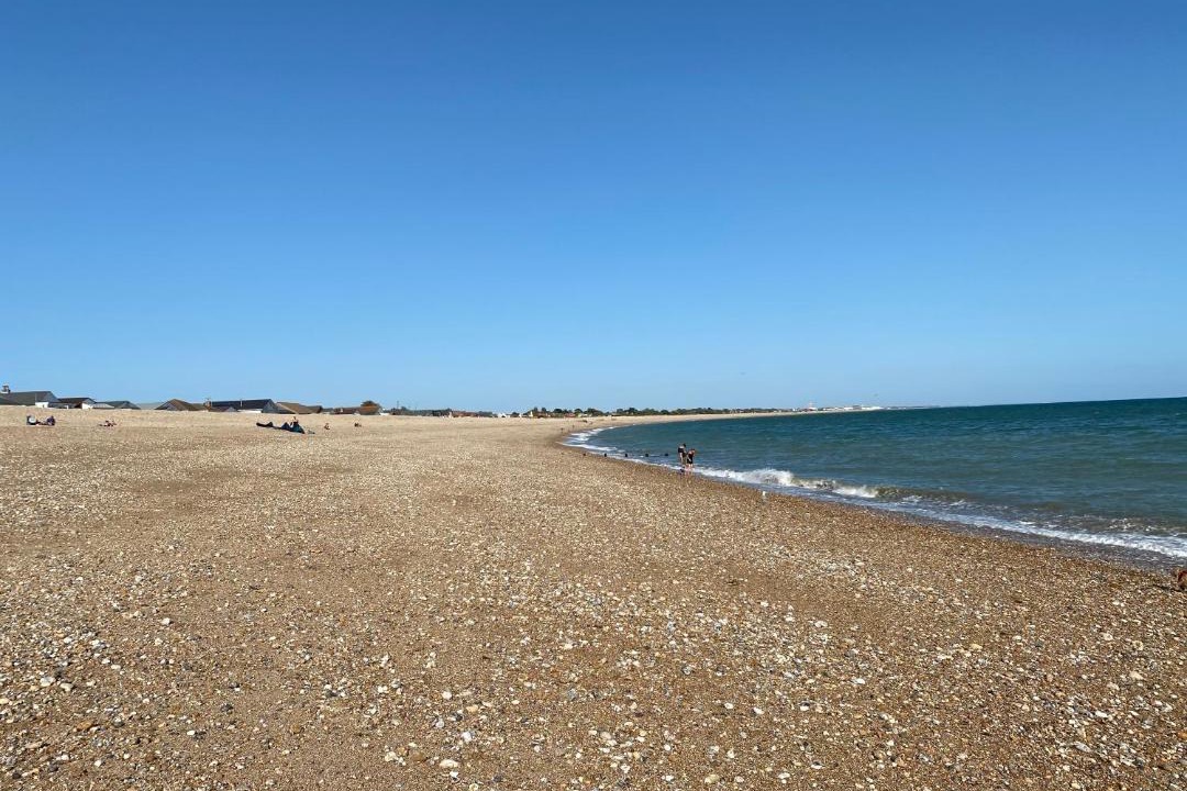 Photo of Others in Pagham