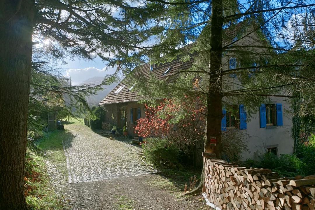 Photo of Others in Le Hohwald