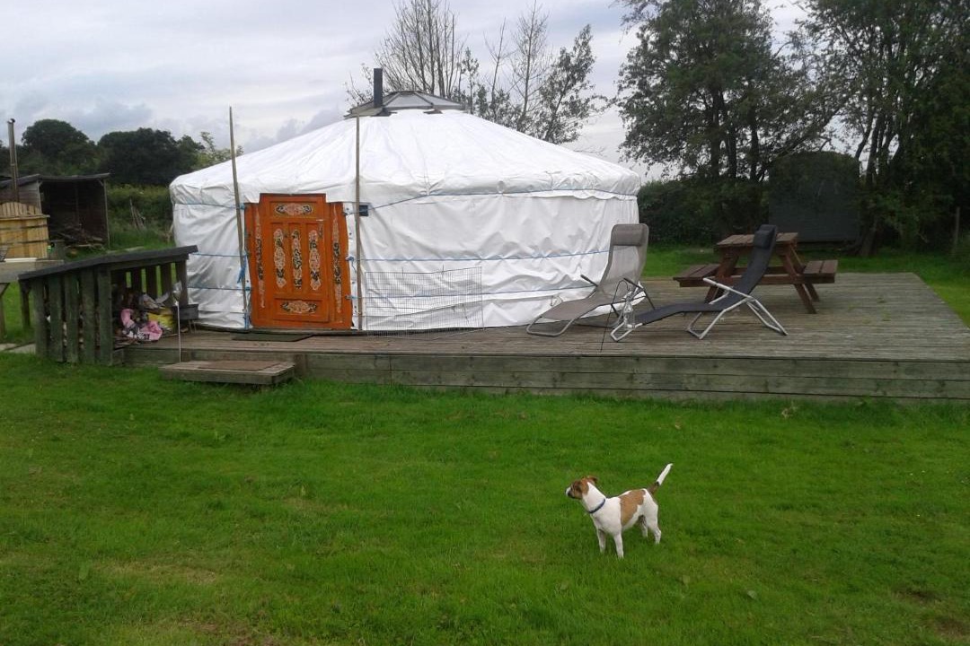 Photo of Others in Stourbridge