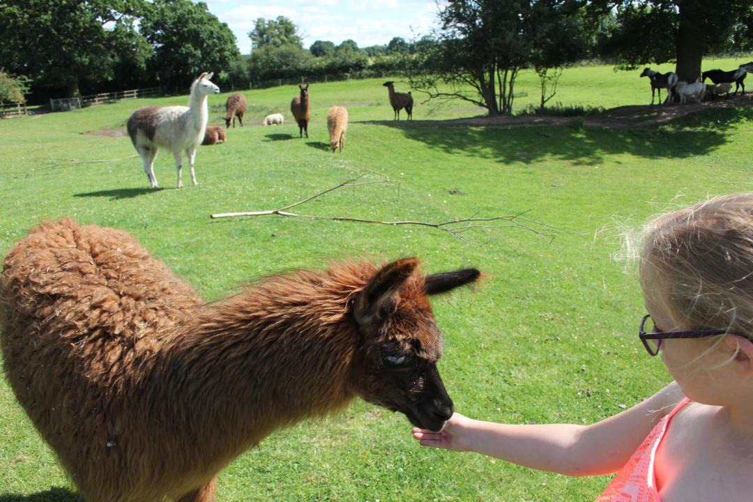 Photo of Others in Stourbridge