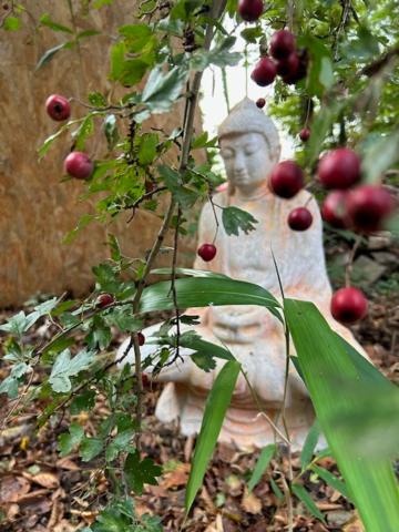 Photo of Others in Saint-Vincent-des-Bois