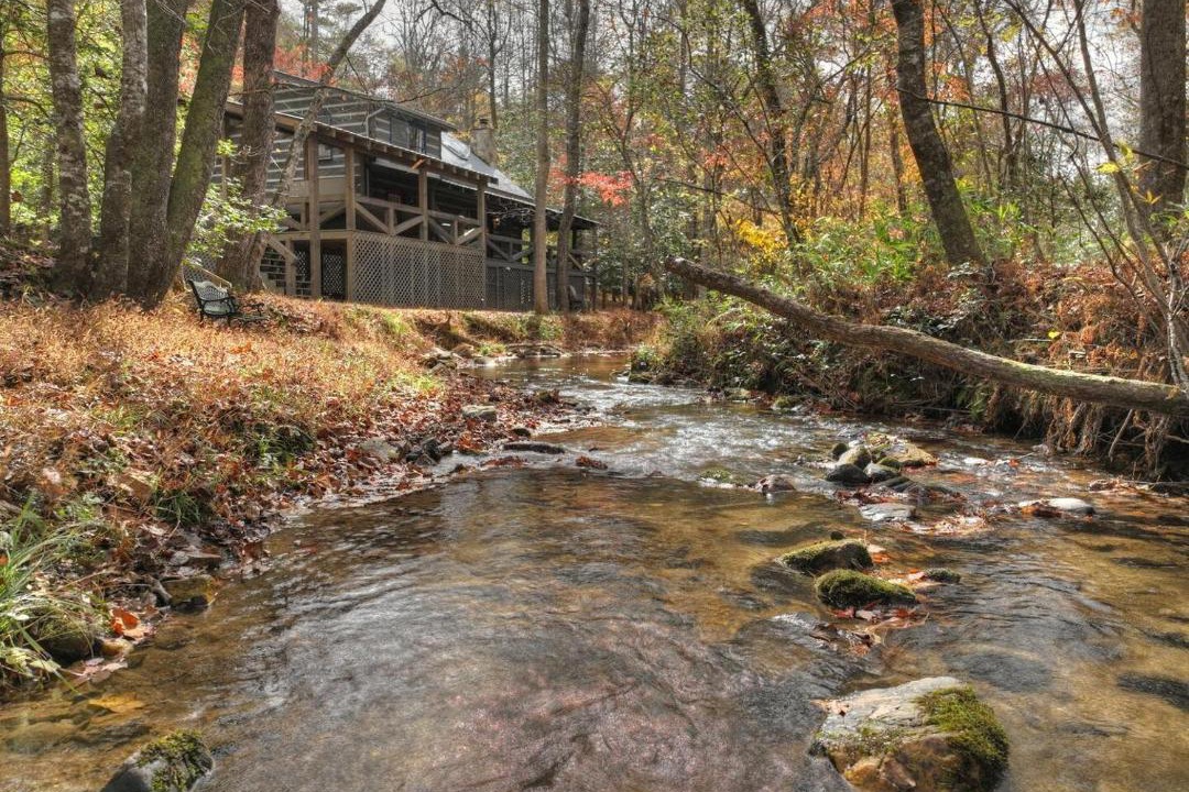 Photo of Others in Dial