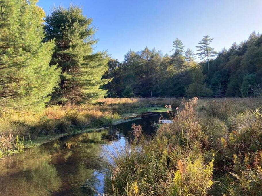 Photo of Others in Sparrow Bush