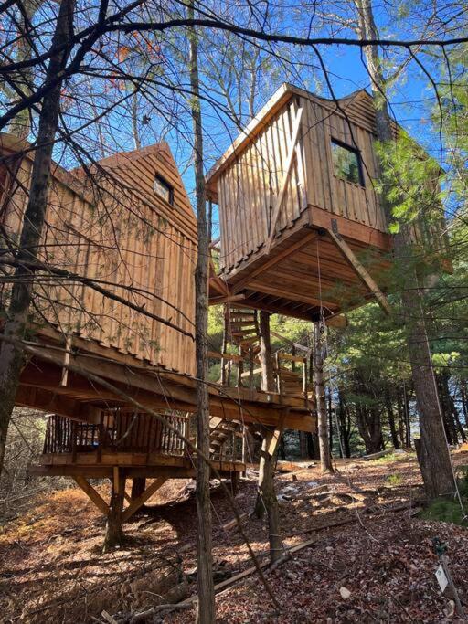 Photo of Others in Sparrow Bush