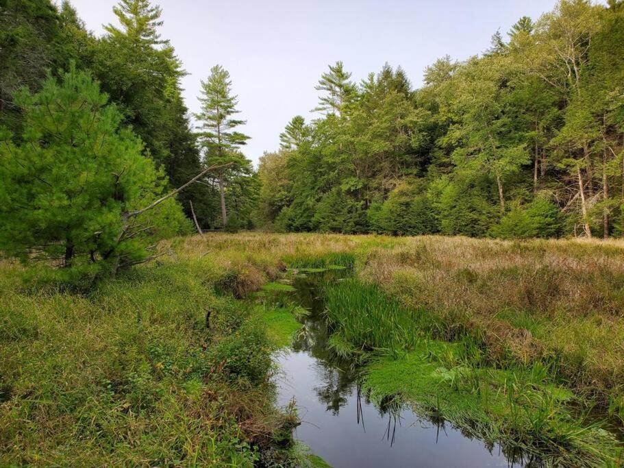 Photo of Others in Sparrow Bush