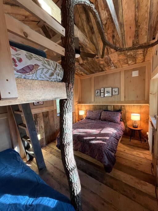 Photo of Others in Sparrow Bush