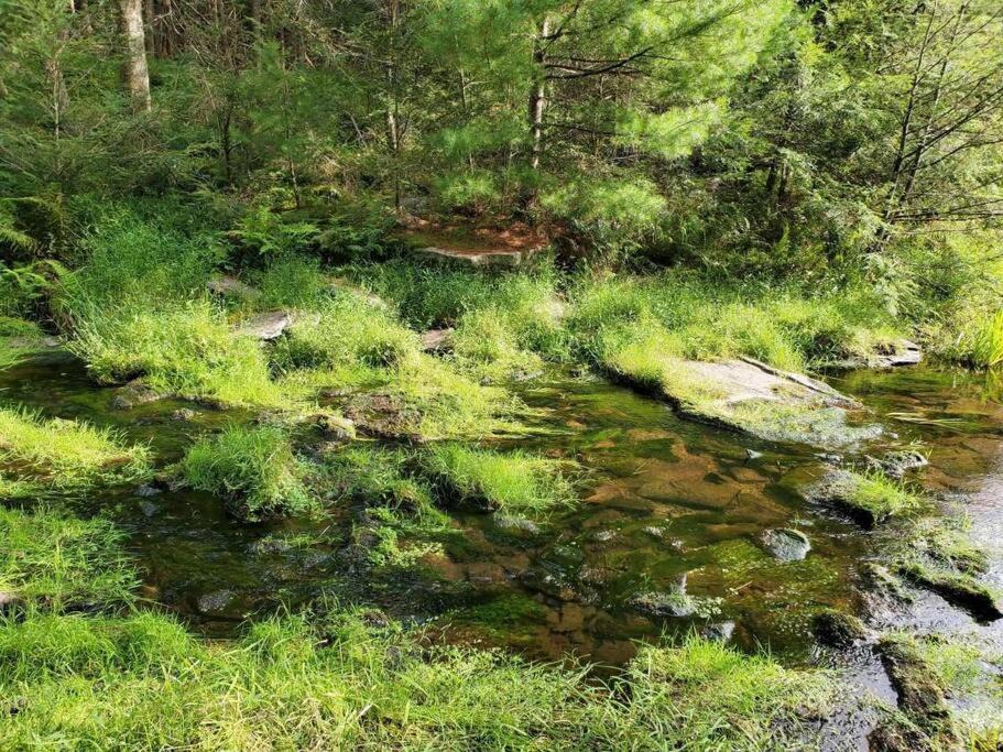 Photo of Others in Sparrow Bush