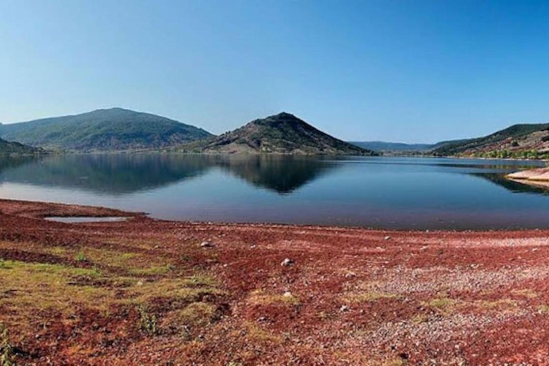 Photo of Others in Octon