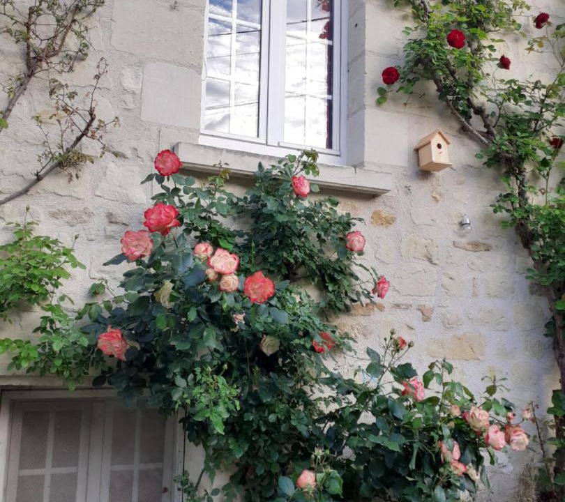 Photo of Others in Beaumont-en-Veron