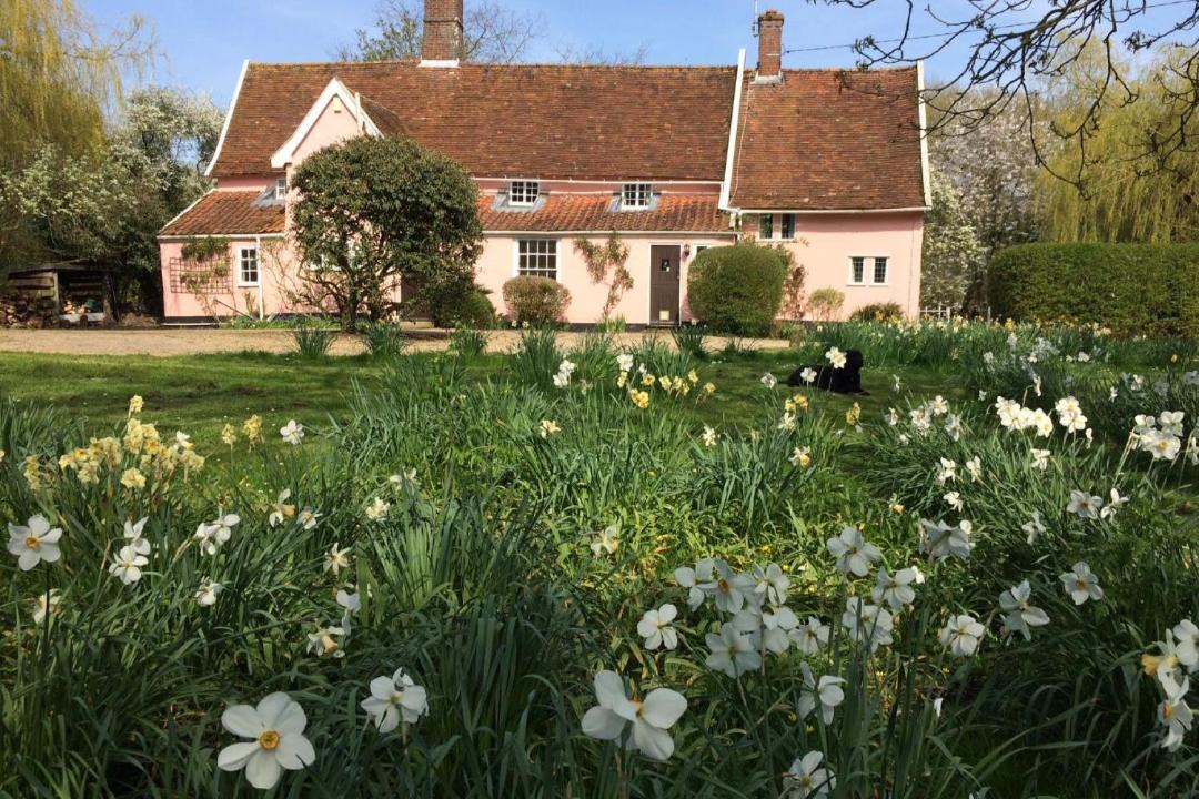 Photo of Others in Martlesham Heath