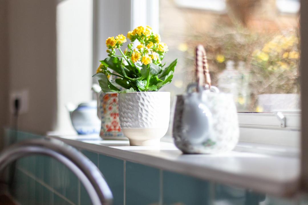 Photo of Others in Fulham