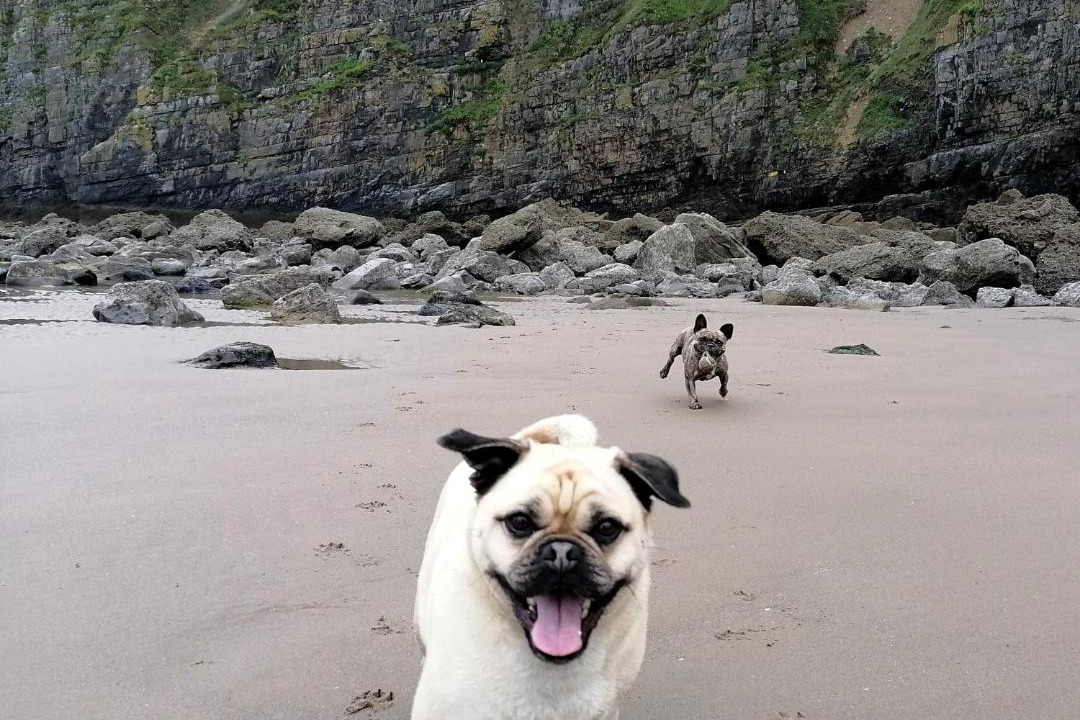 Photo of Others in Saint Clears