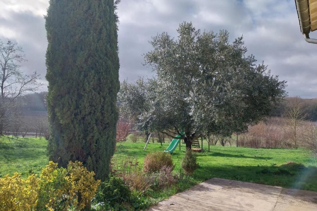 Photo of Others in Singleyrac