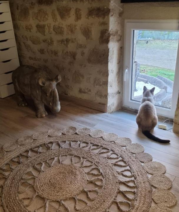 Photo of Others in Colomby