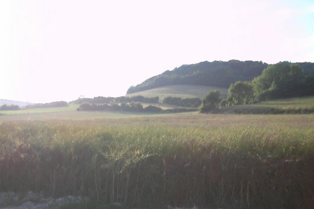 Photo of Others in Licques