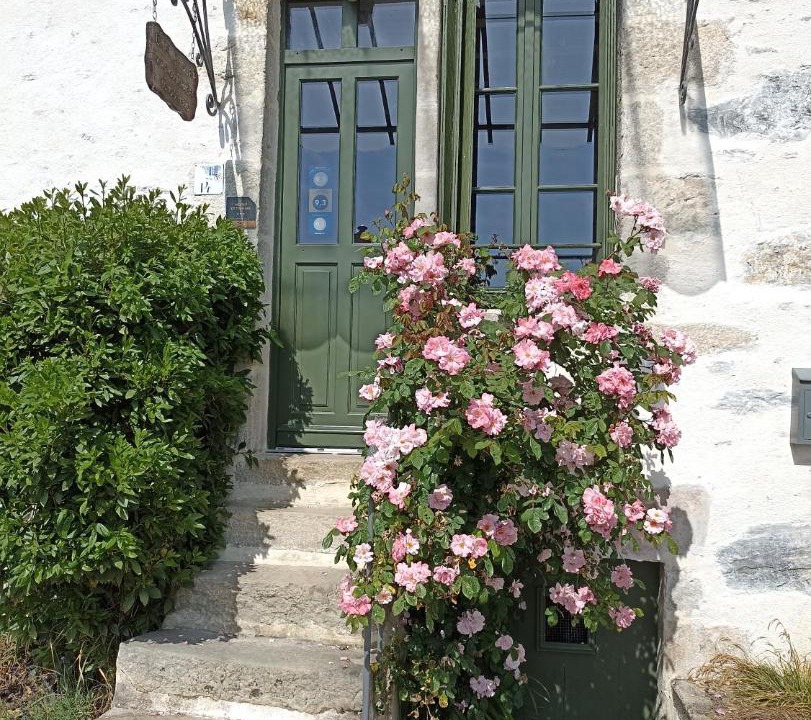 Photo of Others in Fresnay-sur-Sarthe