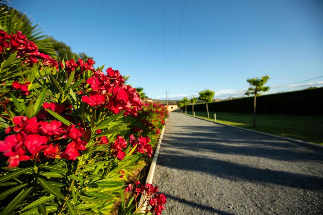 Photo of Outdoor in Rosieres