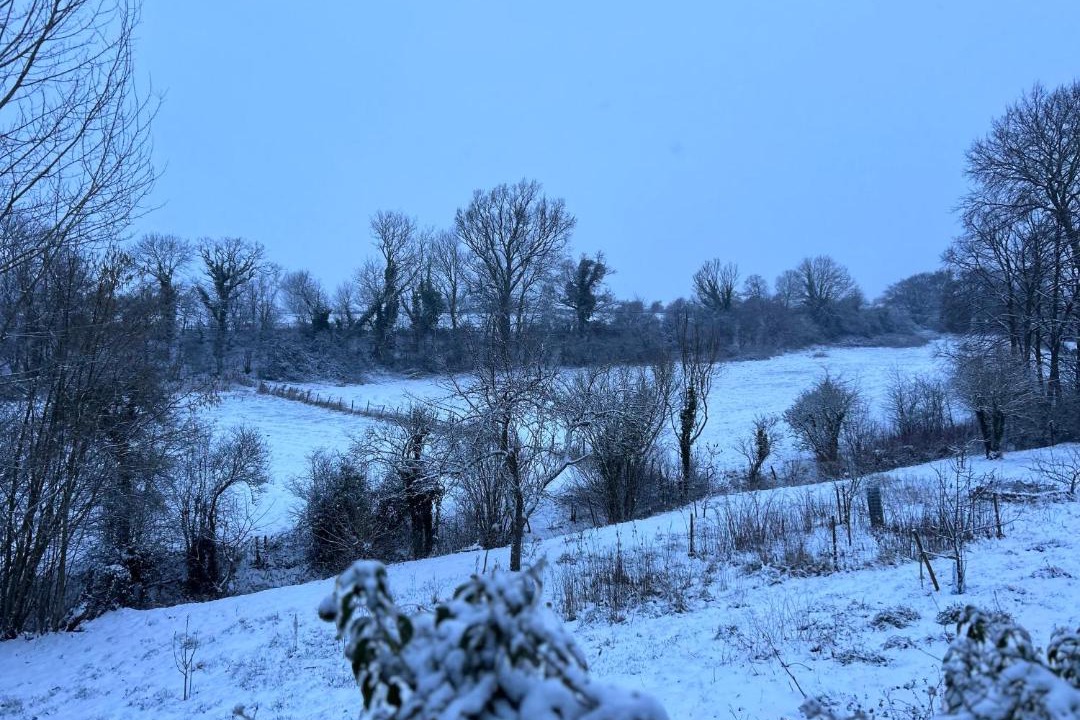 Photo of Others in Auchy-au-Bois