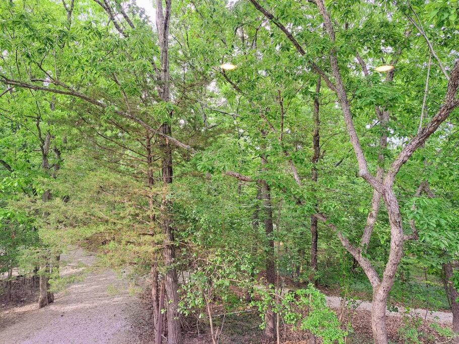 Photo of Others in Indian Point