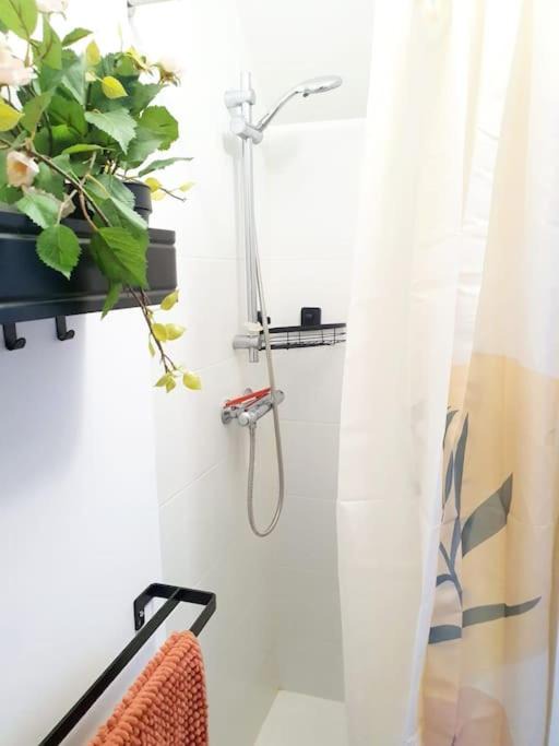 Photo of Others in Orvault