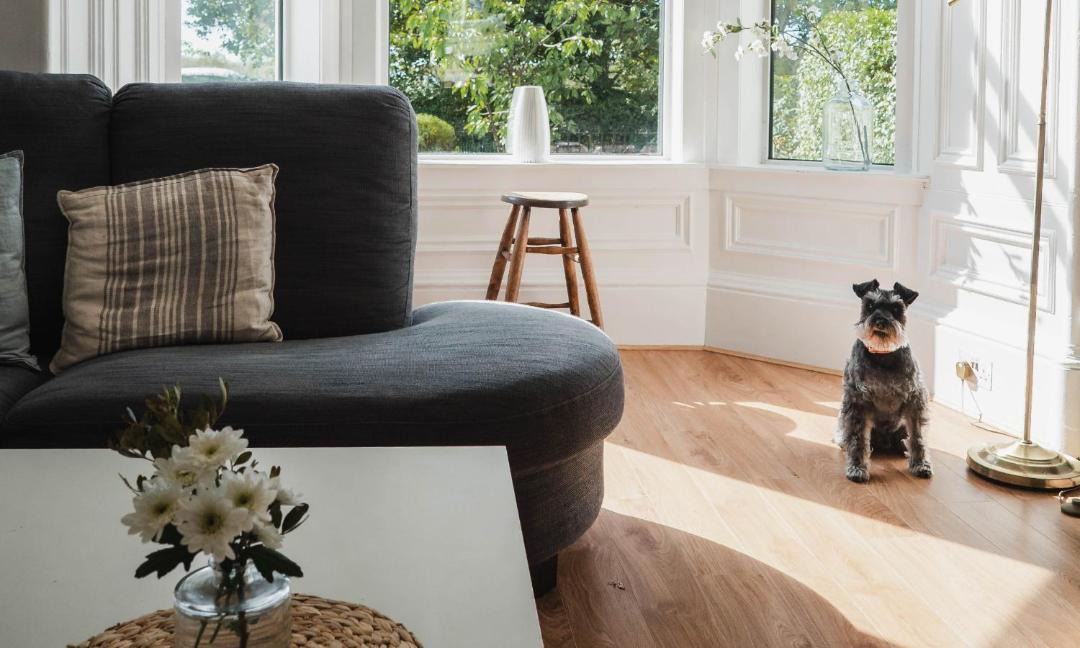 Photo of Others in Broughty Ferry