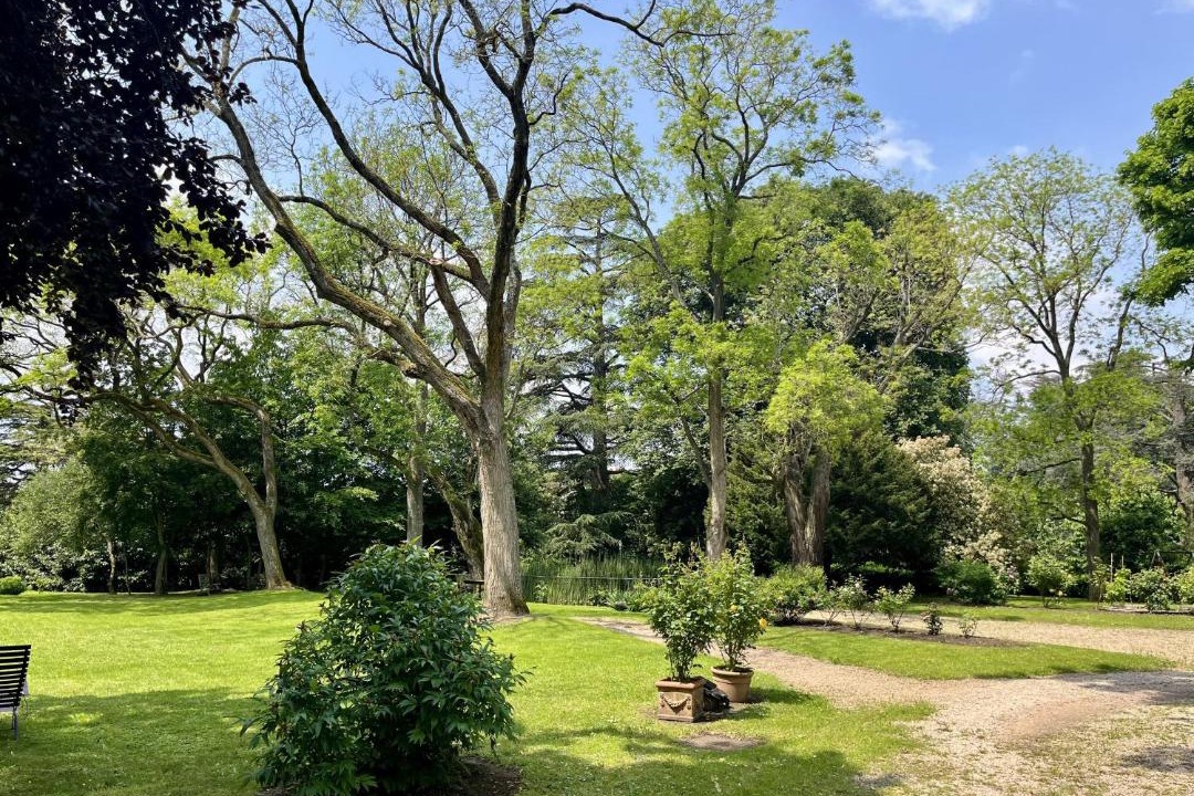 Photo of Others in Chasselay