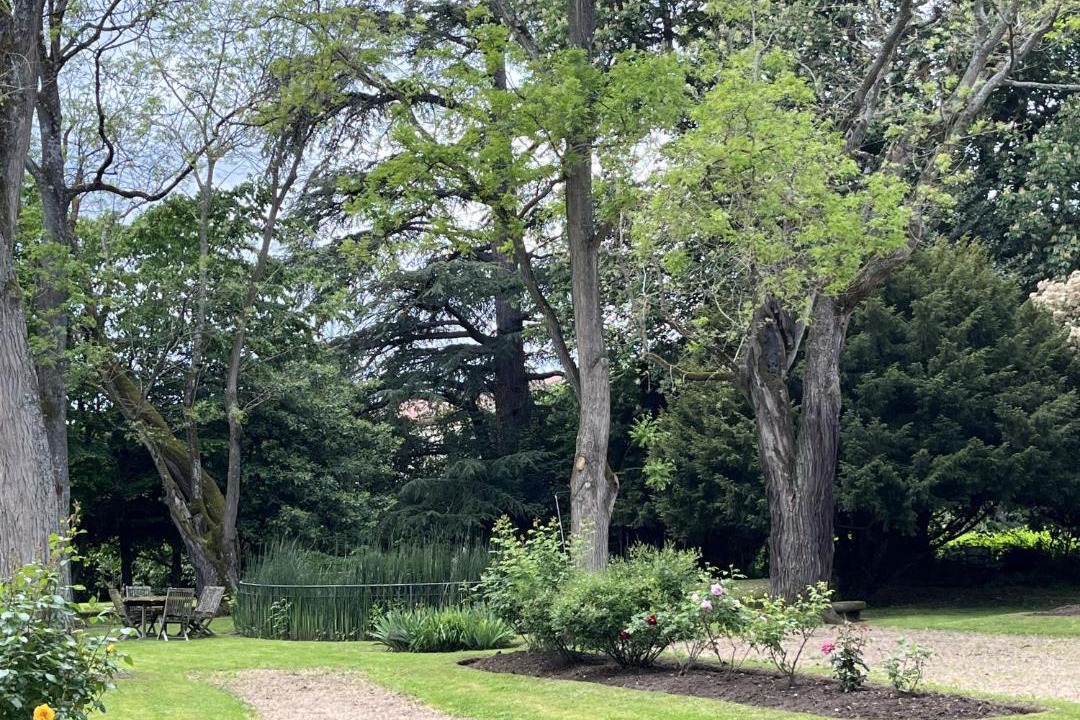 Photo of Others in Chasselay