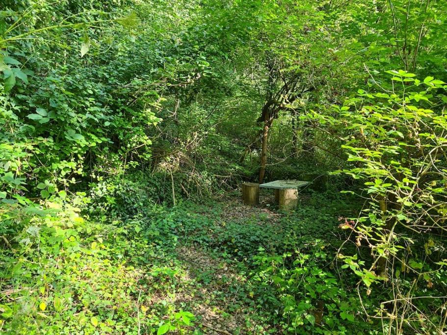 Photo of Others in Kradolf-Schonenberg