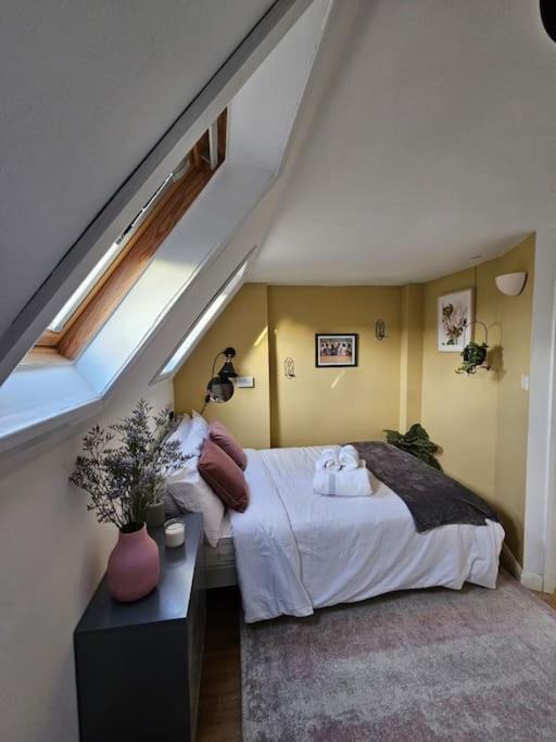 Photo of Others in Munster