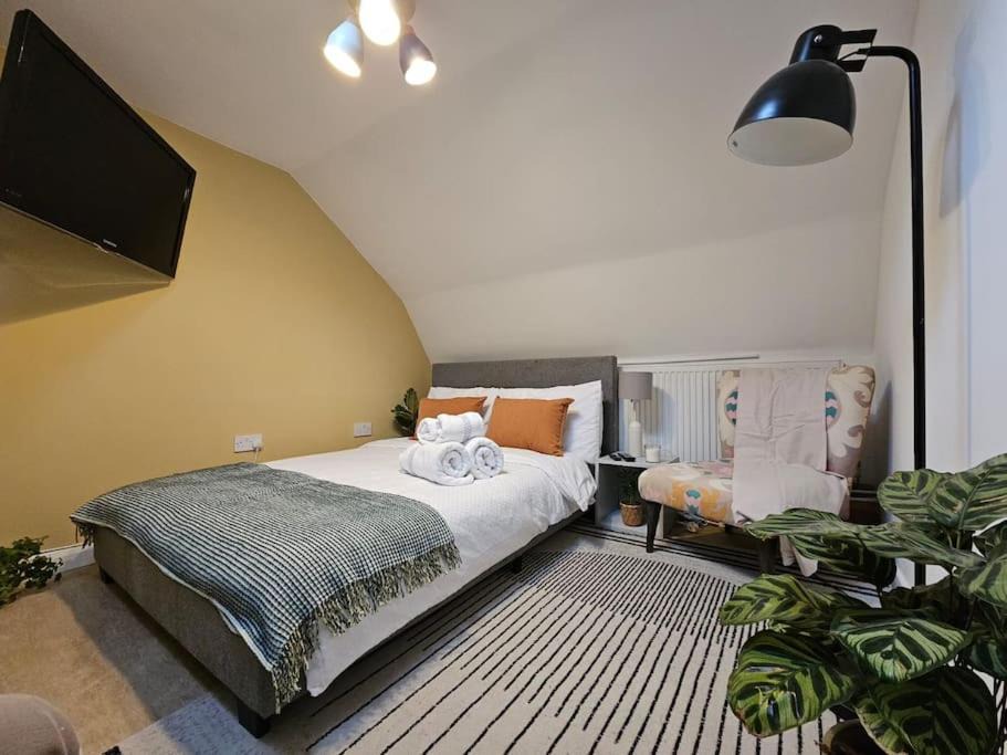 Photo of Others in Munster