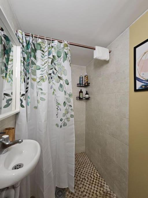 Photo of Others in Munster