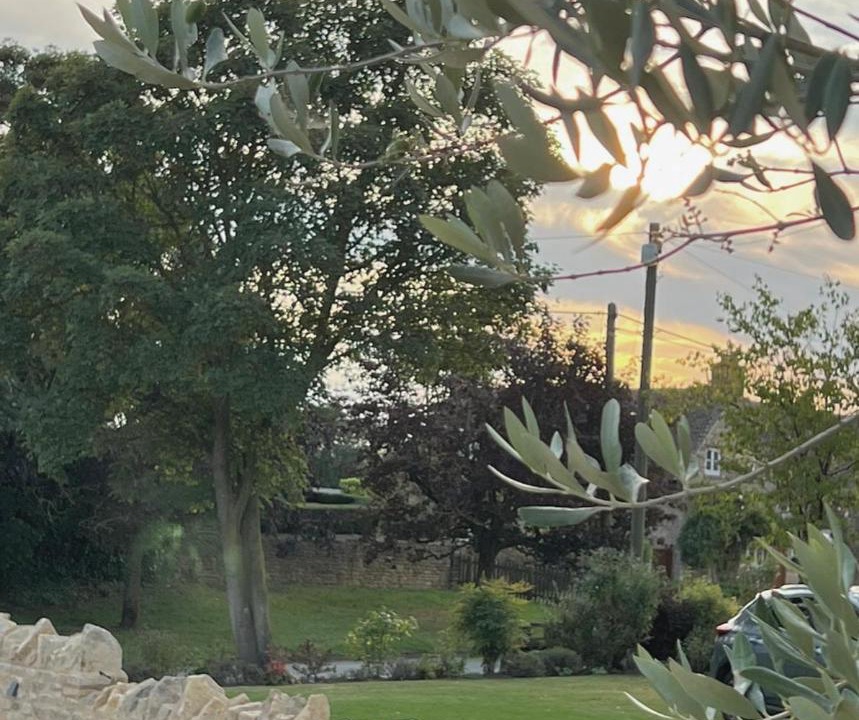 Photo of Others in Twywell