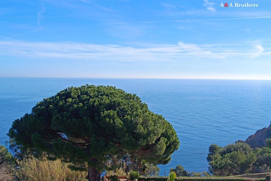 Photo of Others in Sant Feliu de Guixols